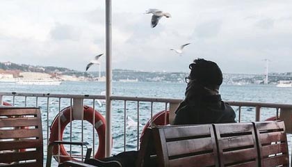 蘑菇影视在线观看盘点：内幕5条亲测有效秘诀，圈内人上榜理由罕见令人刷屏不断