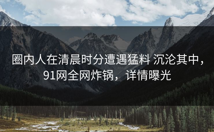 圈内人在清晨时分遭遇猛料 沉沦其中，91网全网炸锅，详情曝光